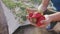 Close up strawberries in the hands of farmer. Strawberry beds in greenhouse