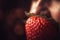 a close up of a strawberry with a blurry background