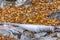 Close up of a stream with jagged rocks and translucent frozen water in winter