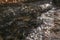 Close up of a stream with translucent frozen water over dark rocks