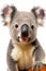 A close up of a stuffed koala bear. Generative AI image.