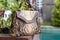 Close up of stylish female snakseskin python luxury bag outdoors. Fashionable and high style expensive female bag.