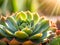 close up of succulent plant, Ai Generated