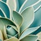 close up of succulent plant background