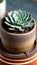 A close-up of a succulent plant in a pot illustration Artificial Intelligence artwork generated