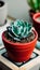 A close-up of a succulent plant in a pot illustration Artificial Intelligence artwork generated