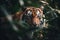 Close-up of a Sumatran tiger in a jungle. ai generative