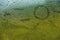 Close-up Summer rain inscription on sweaty glass. Sun and summer symbol on green blurred background