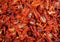 Close Up of sun dried tomatoes. Food background.