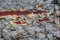 Close up surface of old rusty and weathered metal wall structures in high resolution