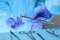 Close-up of of surgeons hands at work in operating theater toned in blue