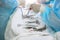 Close-up surgical instruments on a medical table in a clinic during surgery. Metal sterile scissors, clamp, surgical