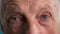 close-up of surprised or shocked old man with blue eyes. Elderly mature male senior with wrinkles looking at camera.