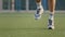 Close-up swarthy tanned male legs in sports white sneakers and socks on grass of stadium. Young energetic sportsman
