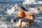 Close-up of swimming chaos of male swimmers wearing orange bathing caps