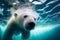 Close-up of a swimming white polar bear underwater looking at the camera. International polar bear day.