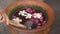 Close up of taking water from vase with frangipani flowers with a wooden scoop