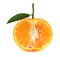 Close up of tangerine