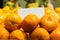 Close-up of tangerines in grocery. Orange organic tasty fruits lying on shelf in supermarket. Vitamins, dieting, vegan