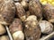 Close up of taro or gabi root crops