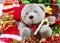 Close up of teddy and crane christmas decoration backgrounds