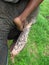 Close-up of a teenage rider`s leg resting on the ear of a large elephant