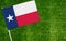 Close-up of Texas flag against closed up view of grass