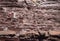 Close-up texture of a brown embossed stone with small puddles of water