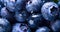 Close up texture concept with berry. Blueberries with water drops. Summer food with vitamin wallpaper