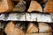 Close-up texture of dry fireplace logs. Wood background. Macro shooting of wood structure. The surface of the chopped campfire