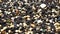 Close-up texture of fine Black, white and beige color Sea stones pebble. Foam of sea waves on a rocky beach. Smooth