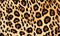 close up texture of leopard print fur