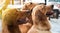 Close-up of three curious cute Golden Retriever dogs