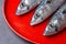 Close-up of three mackerel heads, on red plate and dark background