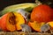 Close-up three mice near corn and orange pumpkins in the warehouse.