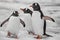Close-up three penguins . Antarctic mountains.