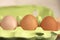 Close-up of three plain fresh light brown and brown eggs in a container. Economic crisis