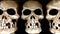 Close-up of Three Skulls