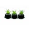 Close up of three small black porcelain flower bowls with green plants, isolated on white background