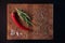 Close-up of thyme on a wooden Board with spices. Restaurant menu, a series of photos of various dishes