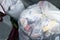 Close-up tied full household plastic waste bag filled with non-recyclable rubbish at recycling acceptance collection