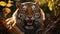 Close up of tiger in wild life. generative AI