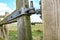 Close-up of a timber-framed farm gate with a distant view of a small dairy herd.