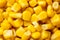 Close-up of tinned sweetcorn from above.