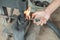 Close up of tire repairman`s hand when starting a fire with a lighter on a traditional press