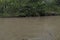 Close up to a colombian palomino river crystal water with yellow sand