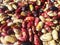 Close up to the colorful kidney beans , view of diffrent colored kidney beans , these are also known as rajma in india