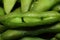 Close up to green soybean or edamame