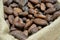 Close up of toasted cacao beans