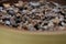 Close up of toasted cacao beans in a bowl